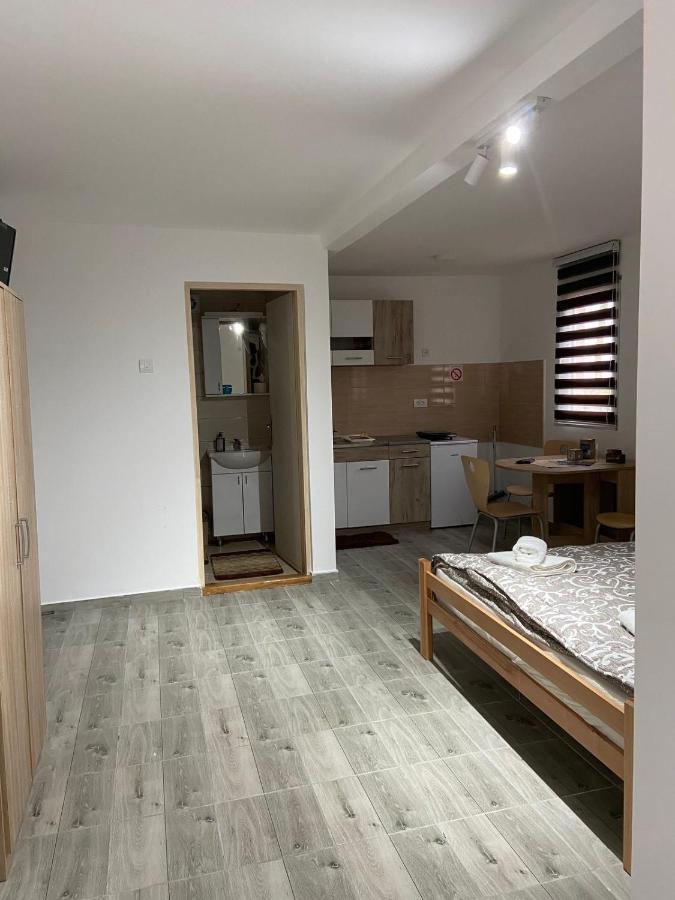 Vila Nika Crni Vrh Extérieur photo